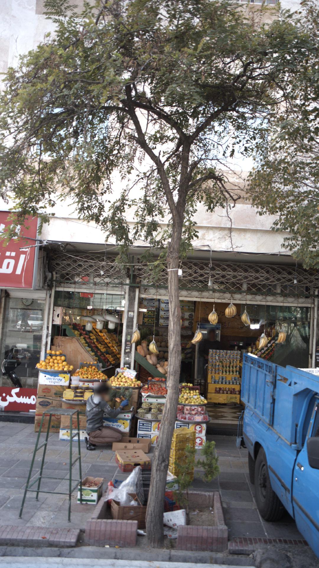 میوه فروشی