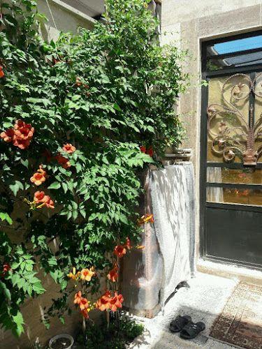 سوئیت آپارتمان آریا