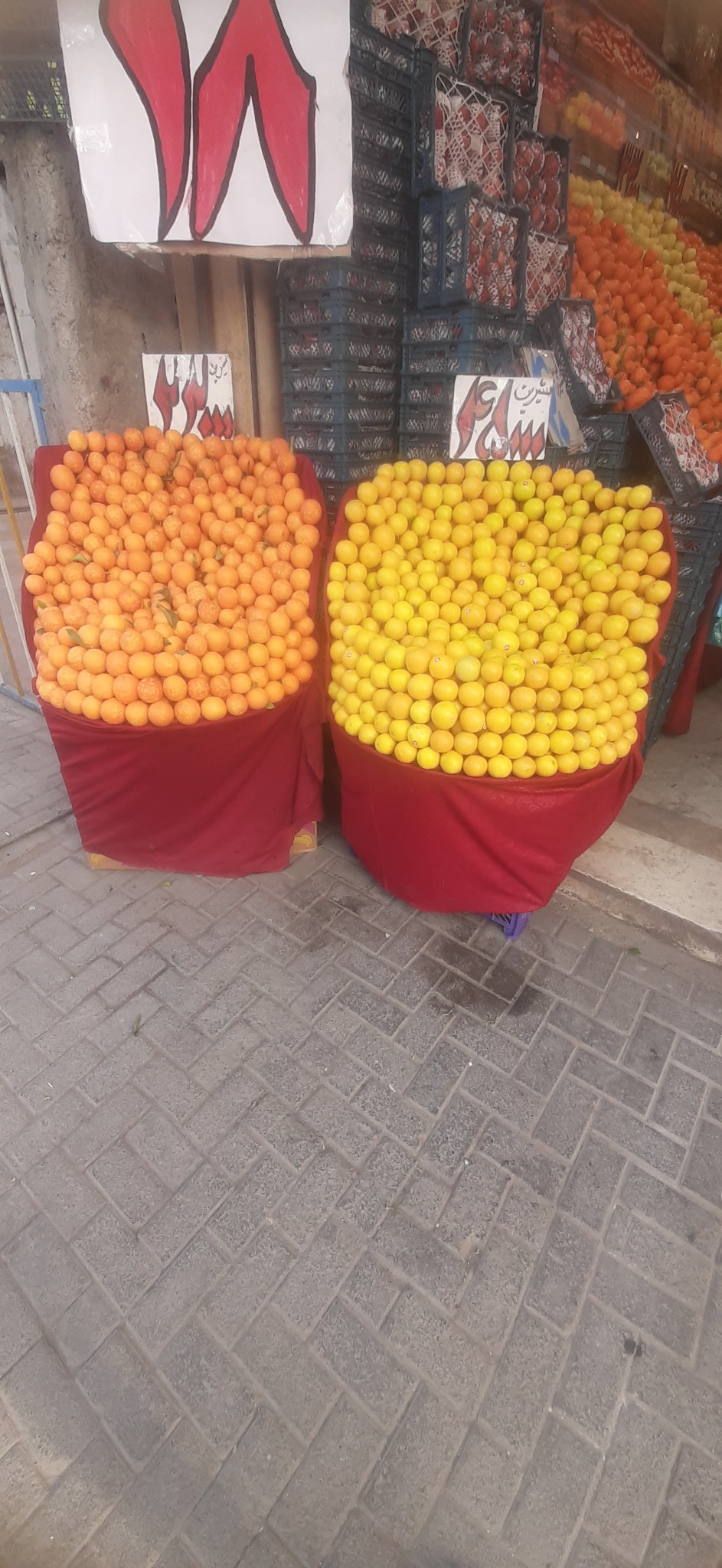 ارزانسرای میوه کوروش بایگی ارزان