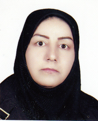 وکیل صغری عزتی