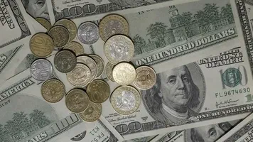 صرافی محسن صفری و شرکا