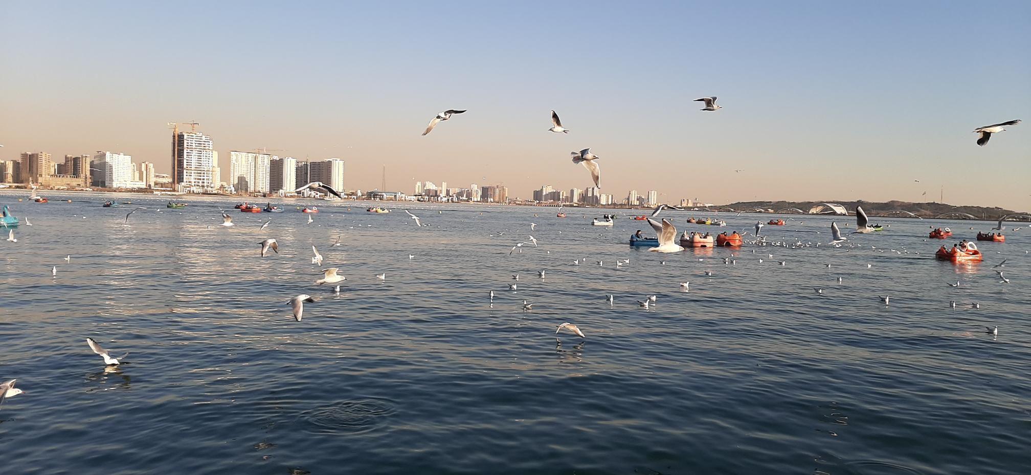 ساحل سنگ ریزه