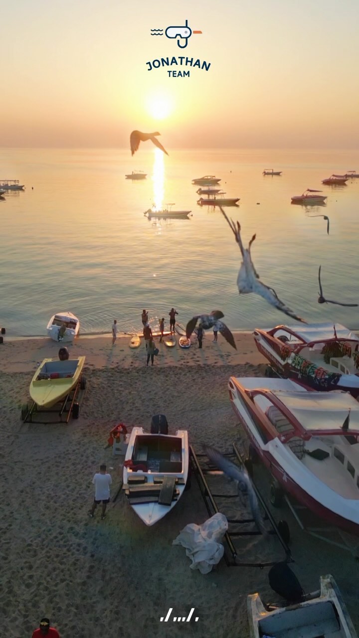 کلوپ تفریحات دریایی دلفین