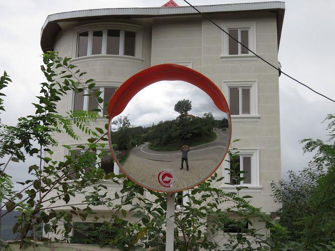 اقامتگاه جنگلی دالیخانی