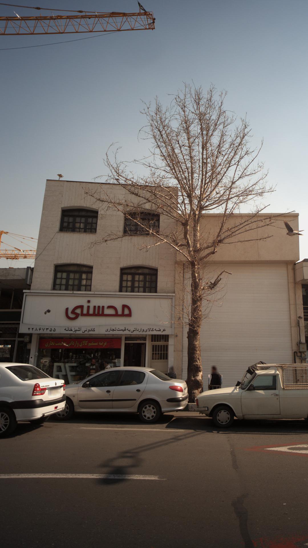 محسنی