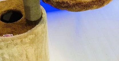 پت شاپ اکسیژن (شعبه مرکزی)