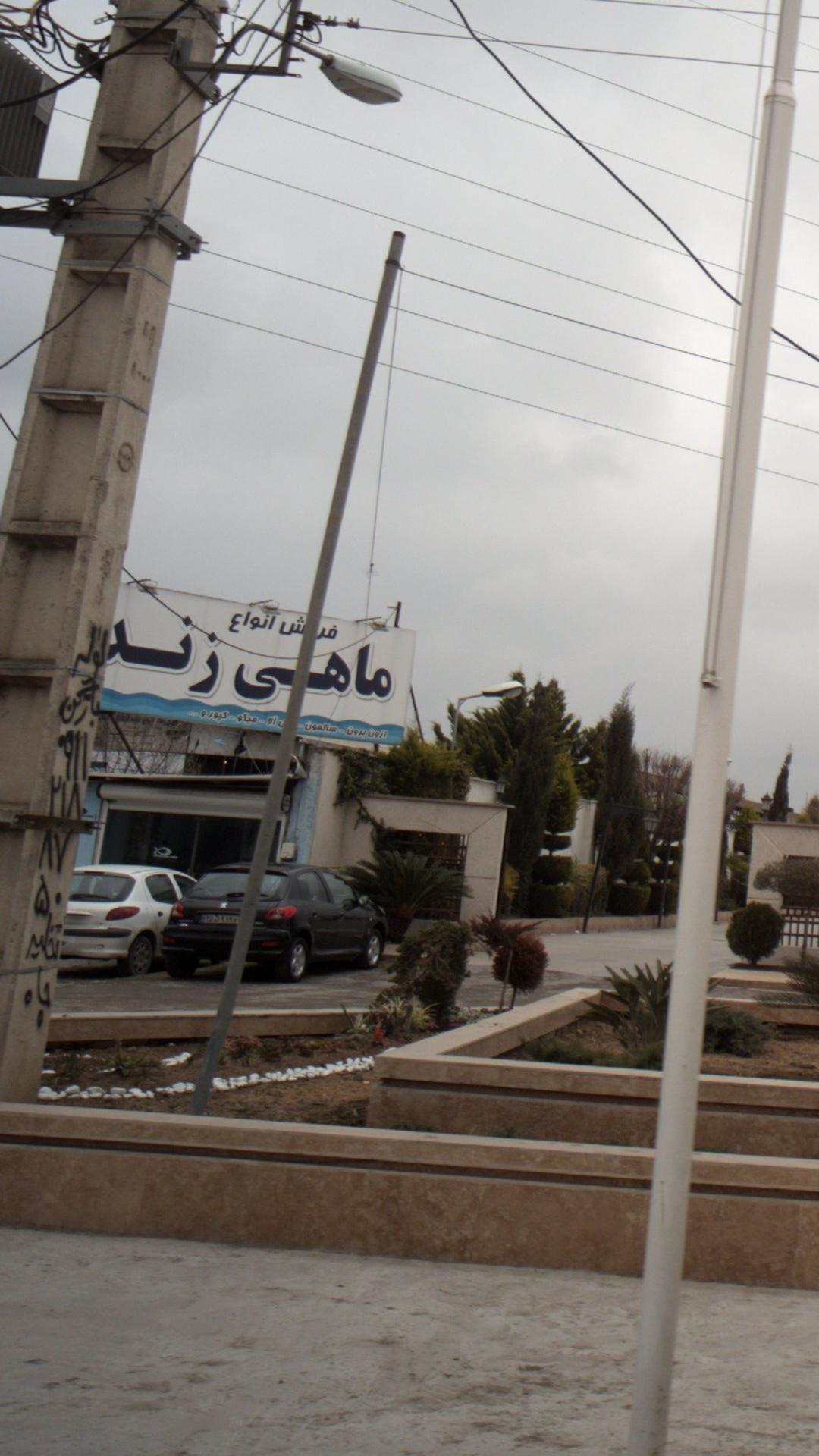 فروش انواع ماهی زنده