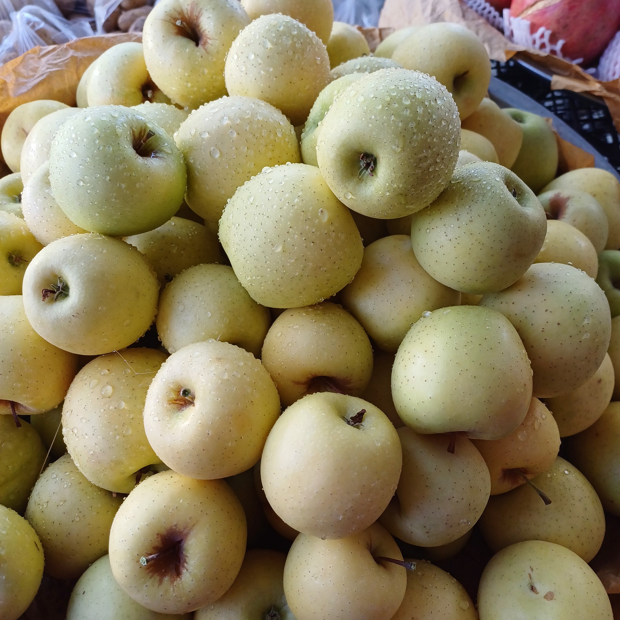 میوه فروشی اقلید یزدانی