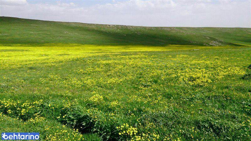 روستای خشگناب