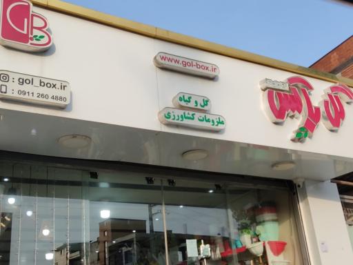 گل باکس