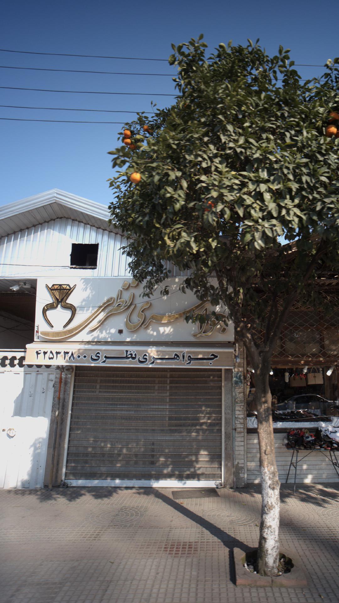 جواهری نظری