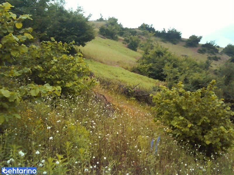 روستای رودبارک