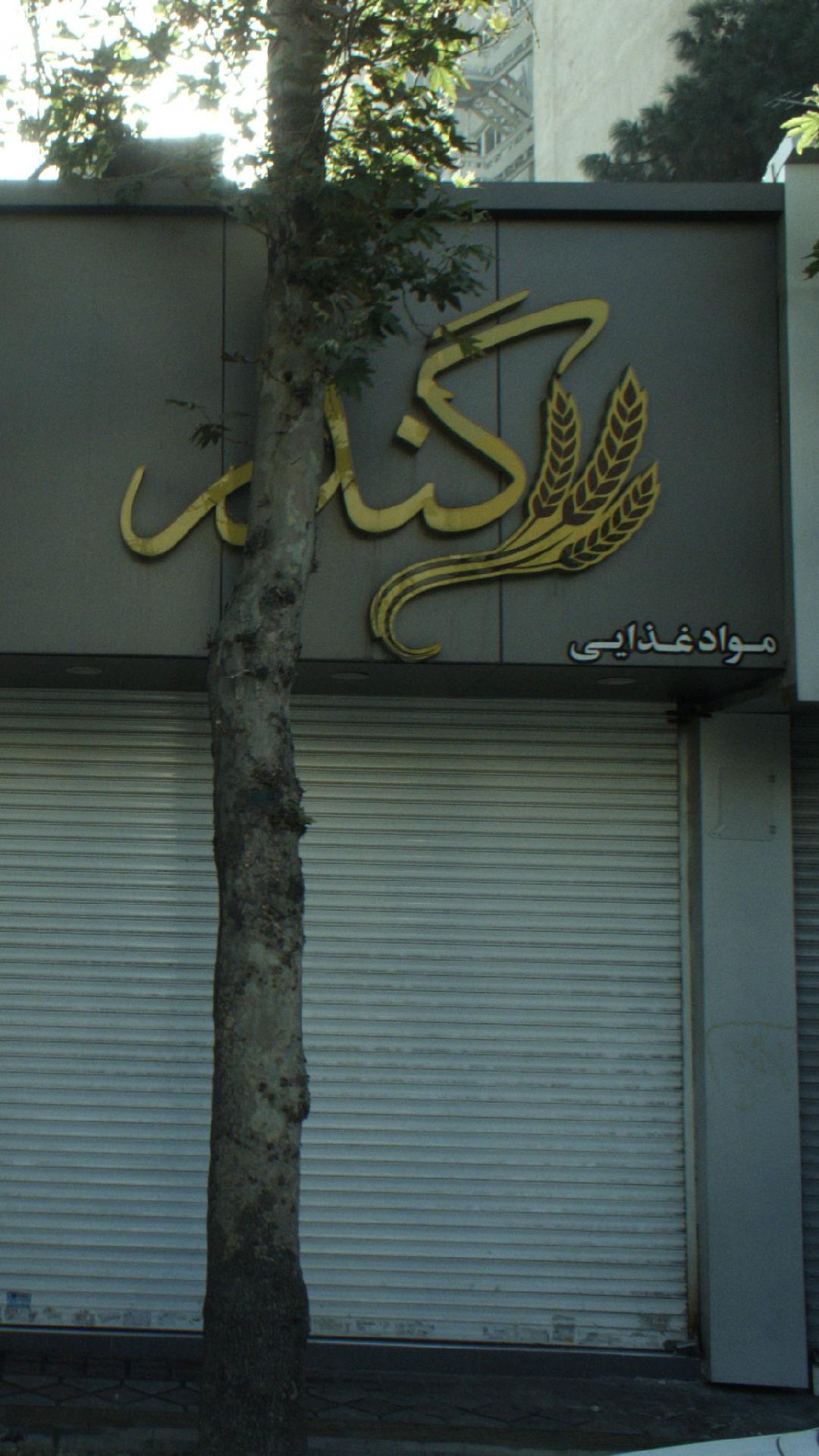 فروشگاه گندم