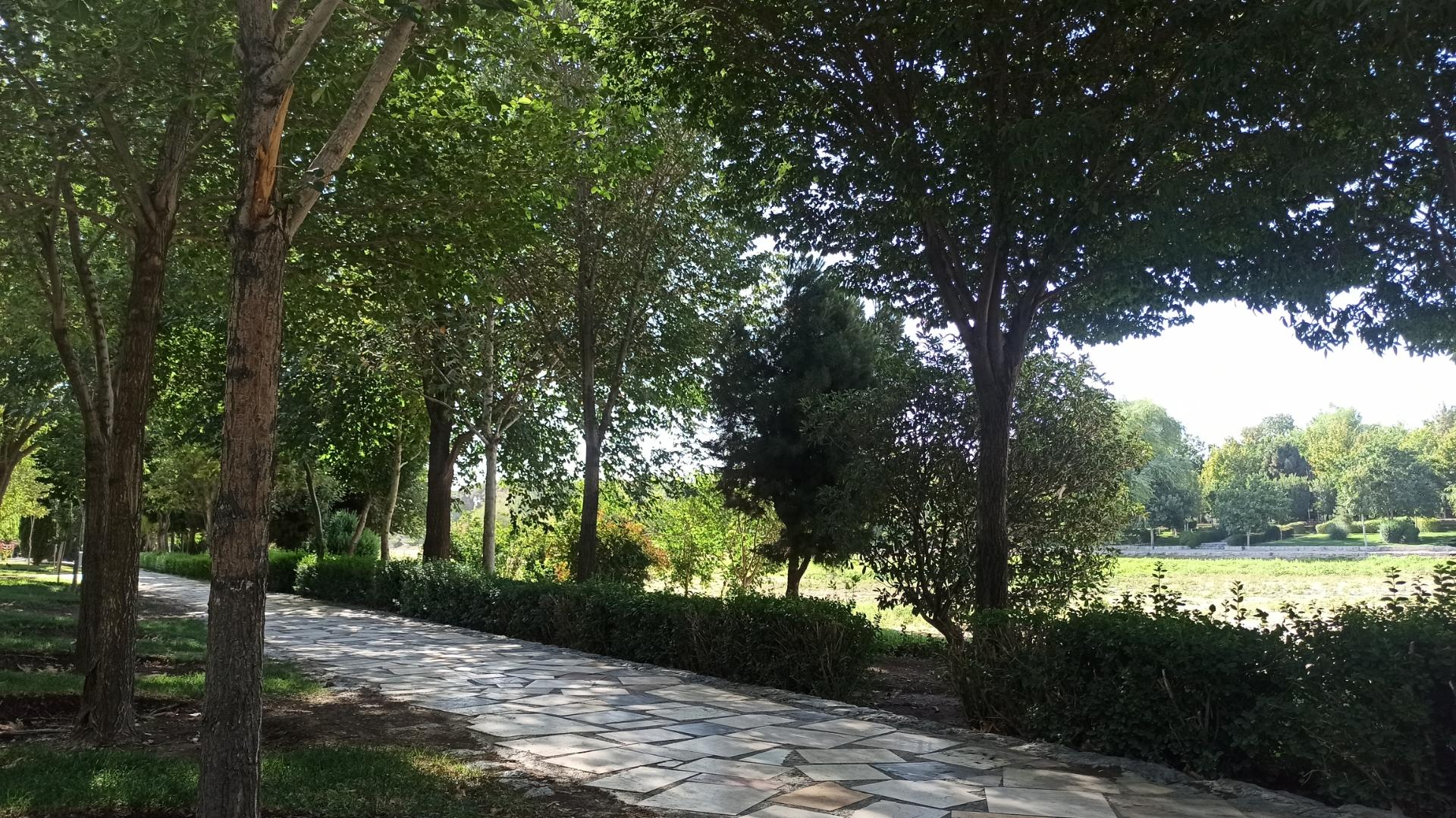 بوستان وحید