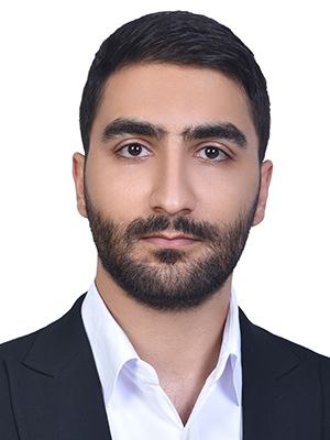 وکیل هادی محمودوند