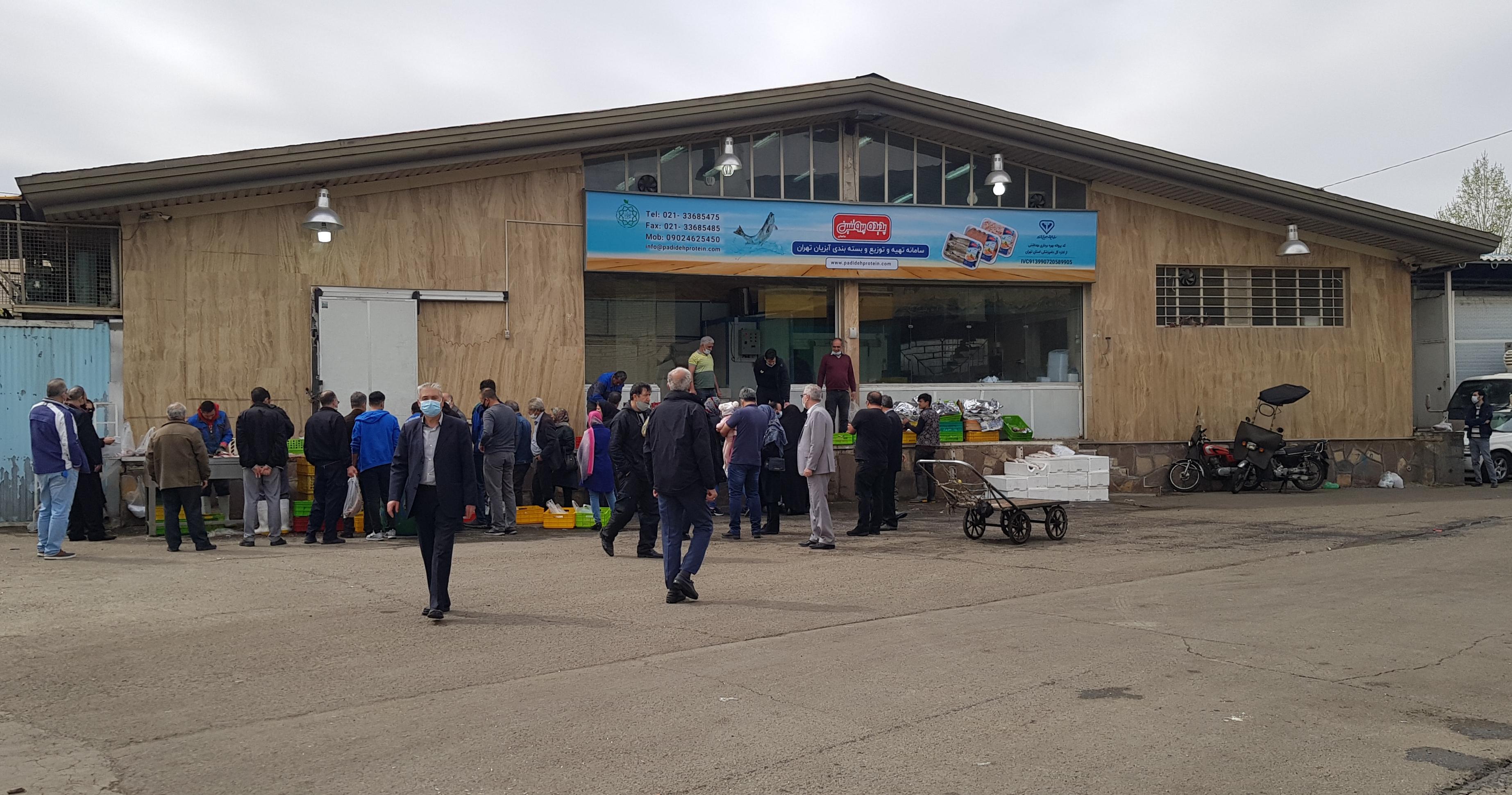 پدیده پروتئین ماهان