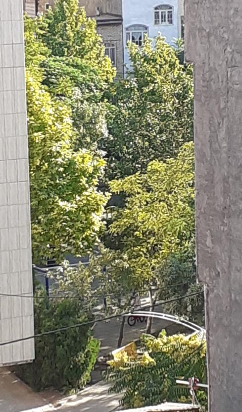 بوستان حکمت