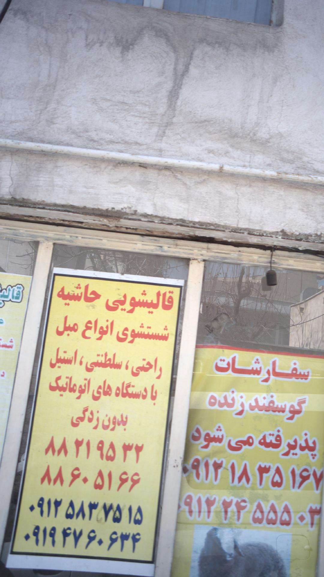 قالیشویی مجاز حاشیه