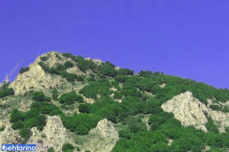 منطقه شکار ممنوع سیاه بیشه