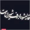 قالیشویی برف شمیرانات