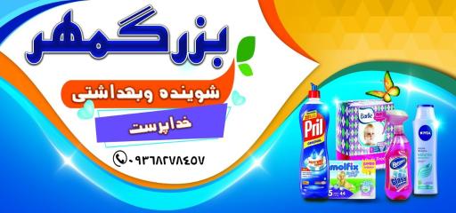شوینده وبهداشتی بزرگمهر