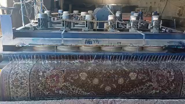 قالیشویی سلیمان