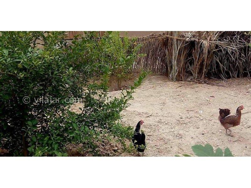 اقامتگاه بومگردی به نشین نگین سبز