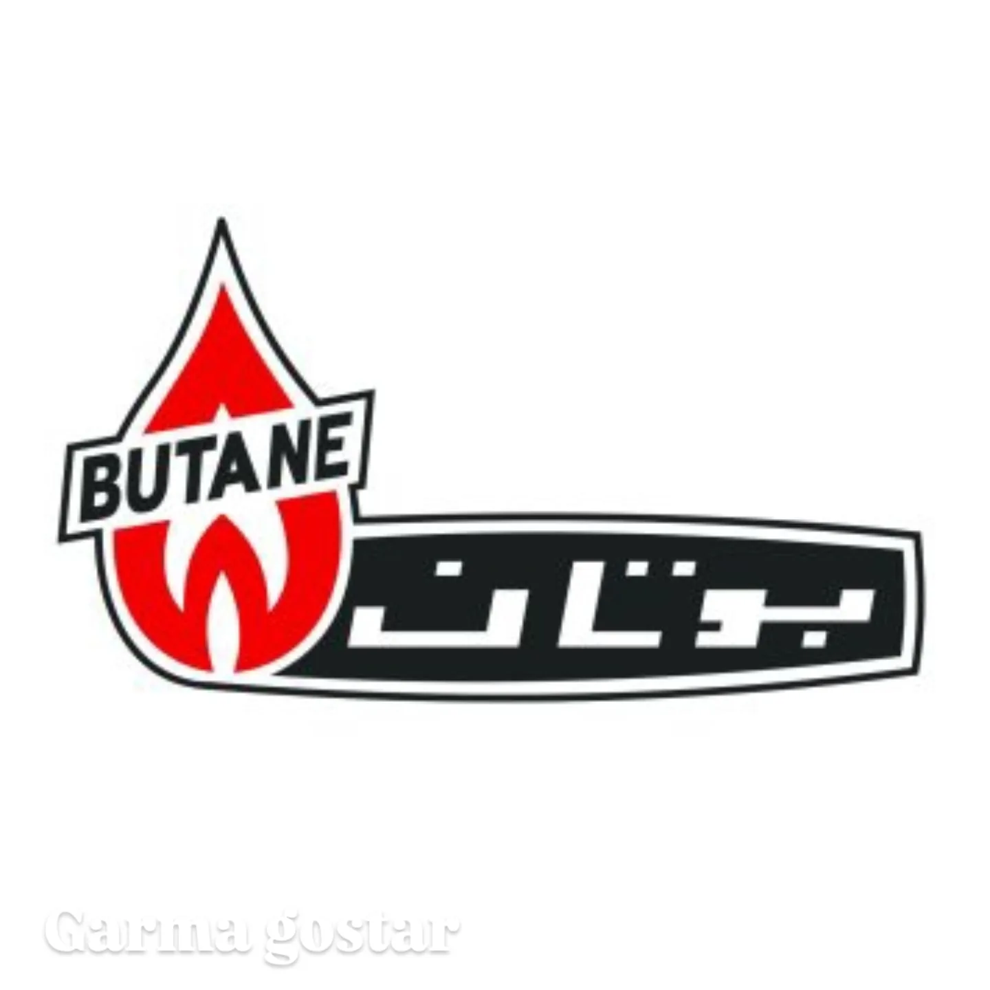 نمایندگی بوتان احسان