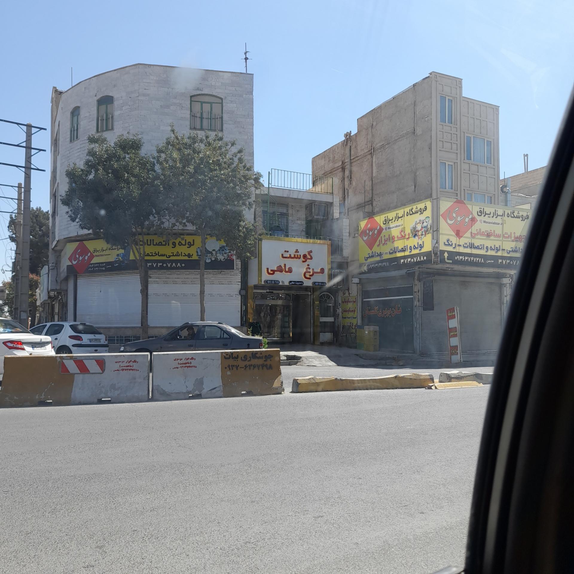 زرین مرغ علیرضا