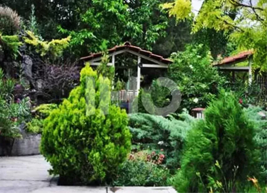 مجتمع پتروشیمی تبریز