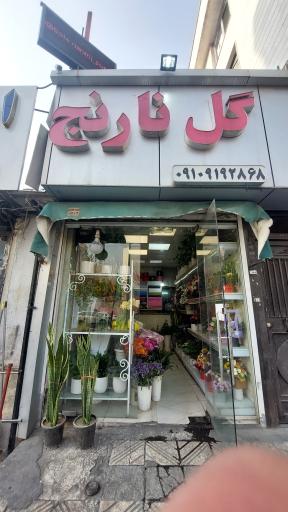 گل نارنج