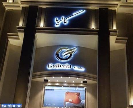 برگر فریکادل 