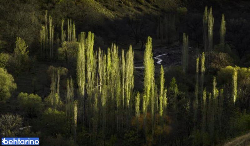 روستای جزینان