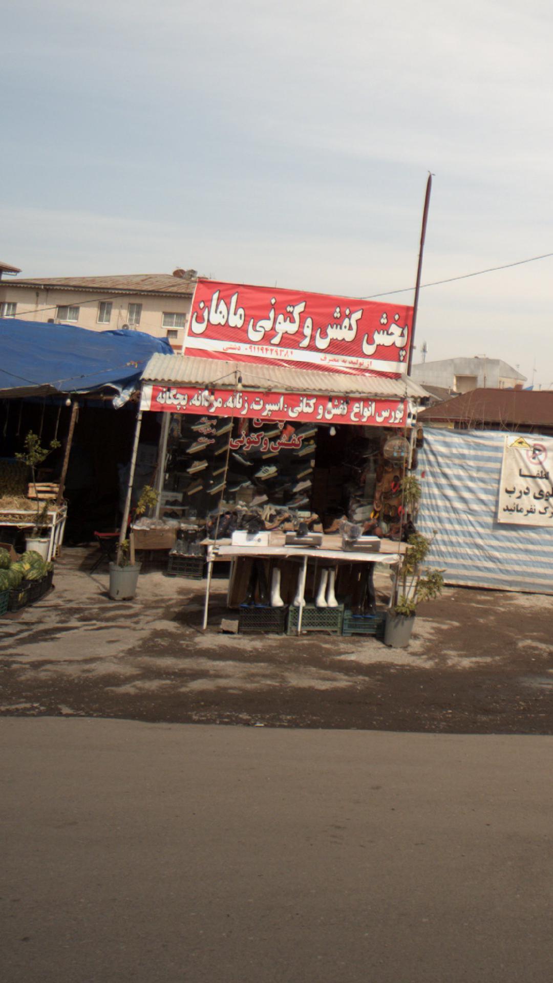 پخش کفش و کتونی ماهان