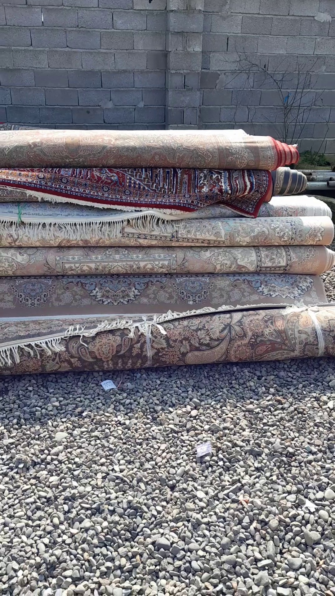 قالیشویی تخصصی جوان