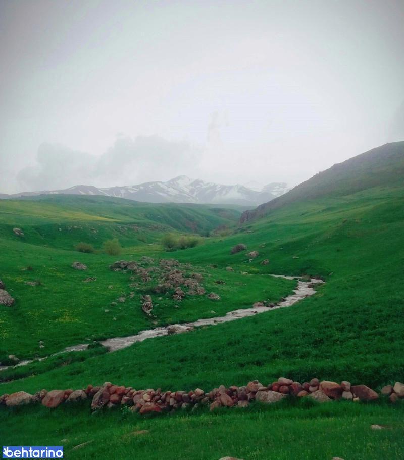 روستای حسن علی کندی