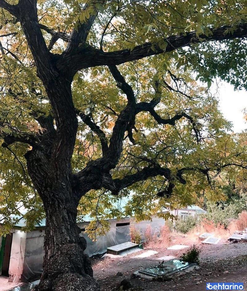 روستای اورازان