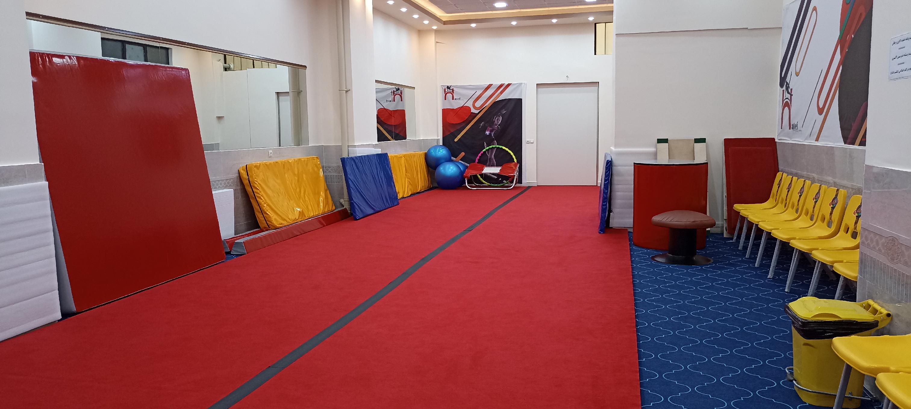 ژیمناستیک هاتف