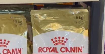 گرومینگ و پت شاپ بامی پت