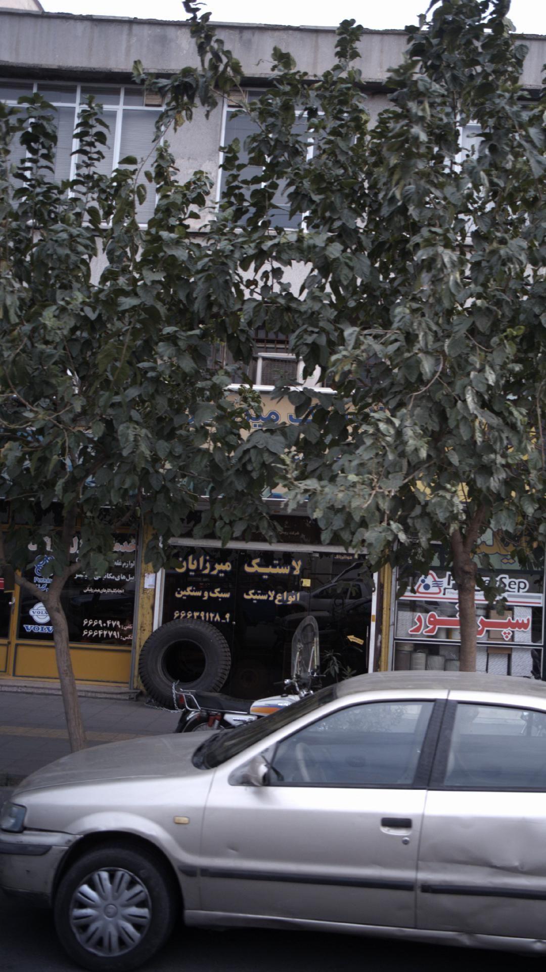 لاستیک میرزائیان