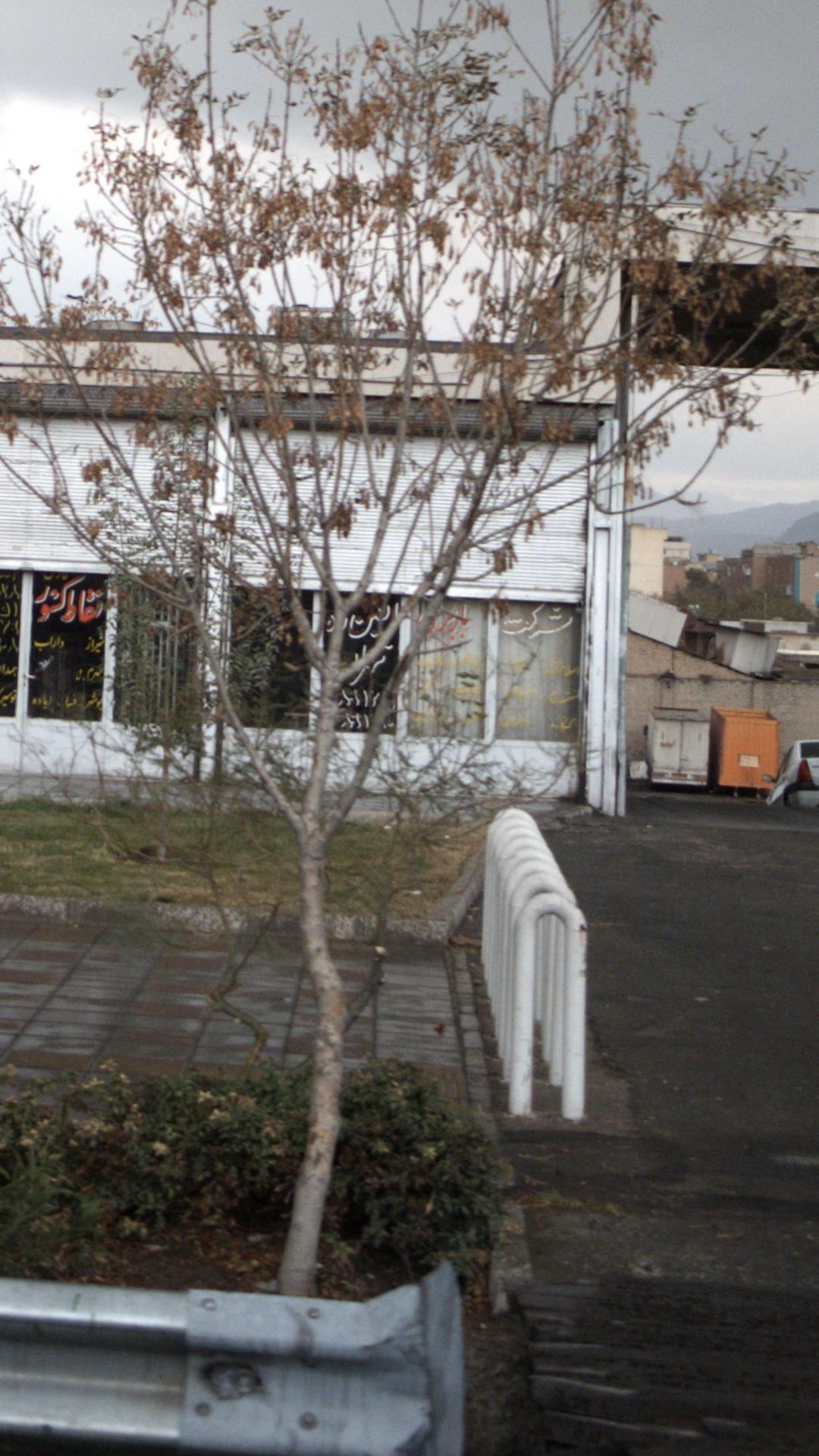 باربری  امین راه تهران