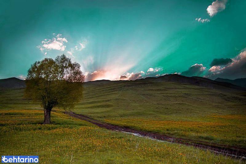 روستای دیزان