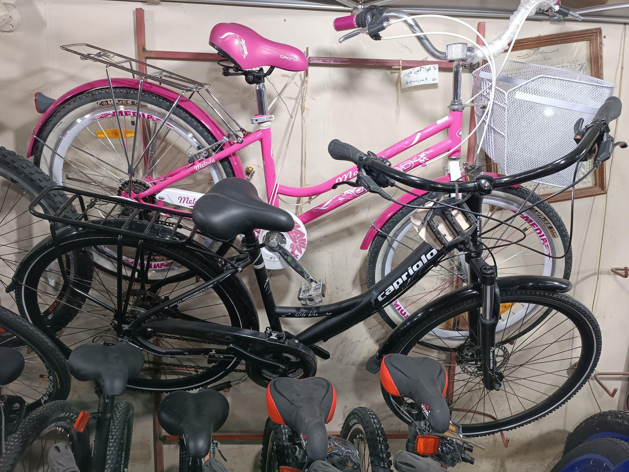 دوچرخه فروشی لاوی