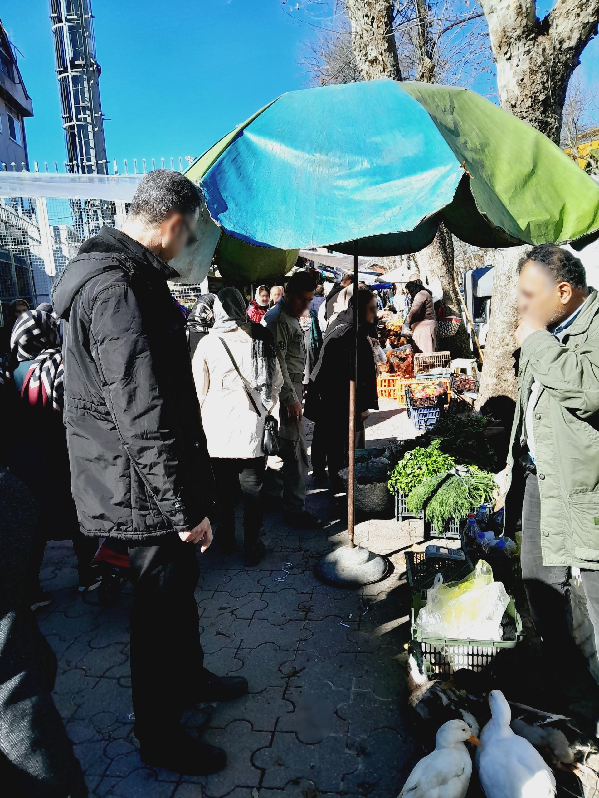 نان بربری بازار