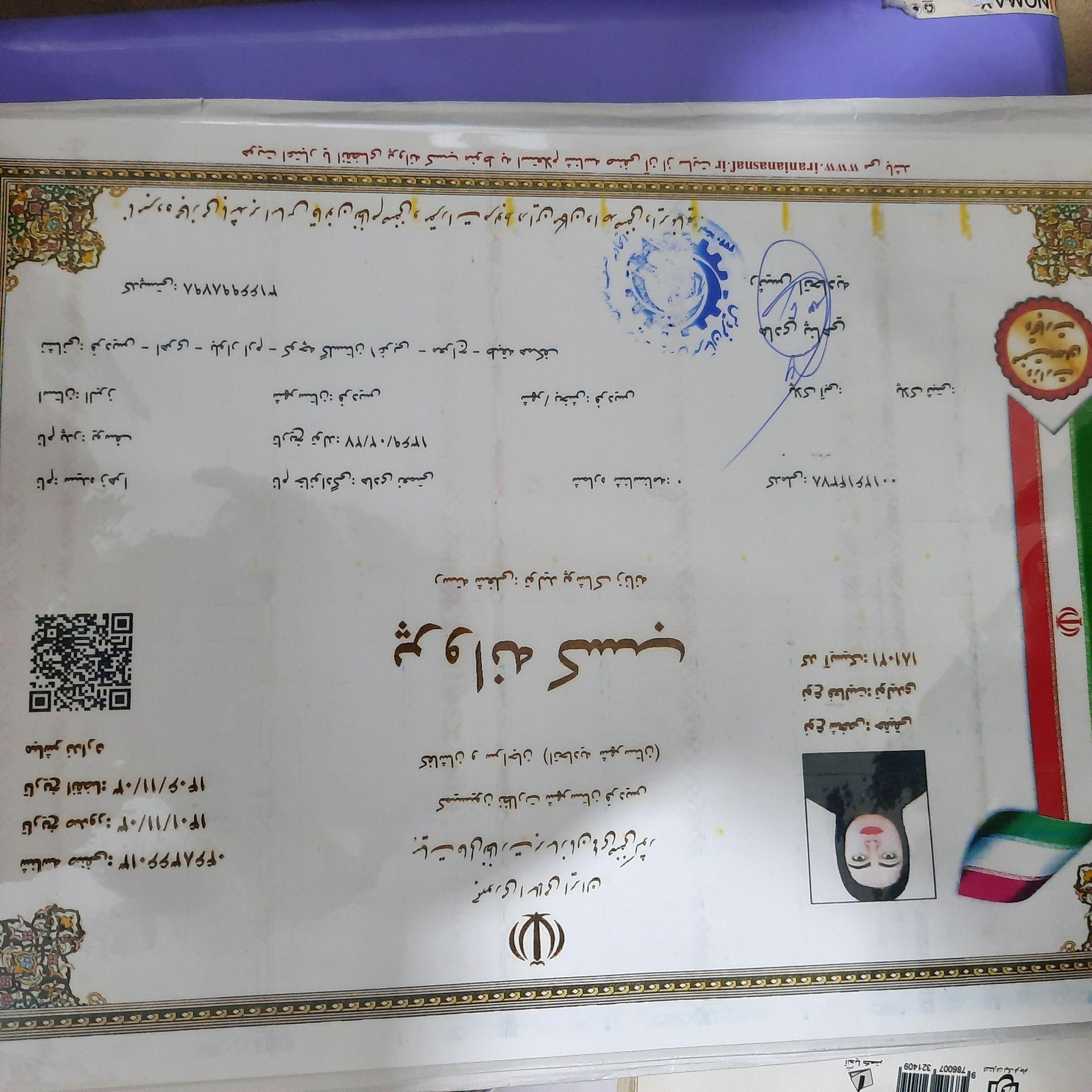 تولید و پخش پوشاک تیلور