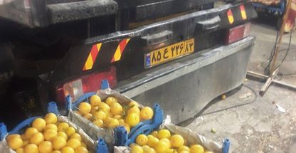 بار فروشی و حق العمل کاری محمد شفیعی