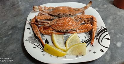 رستوران دریای خاله خانم