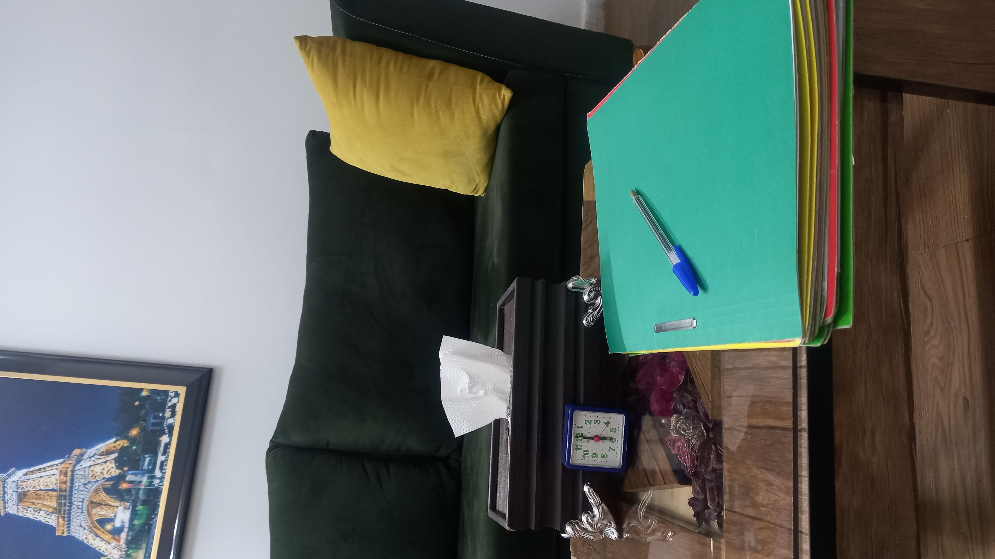 روانشناس حمیده عقابی