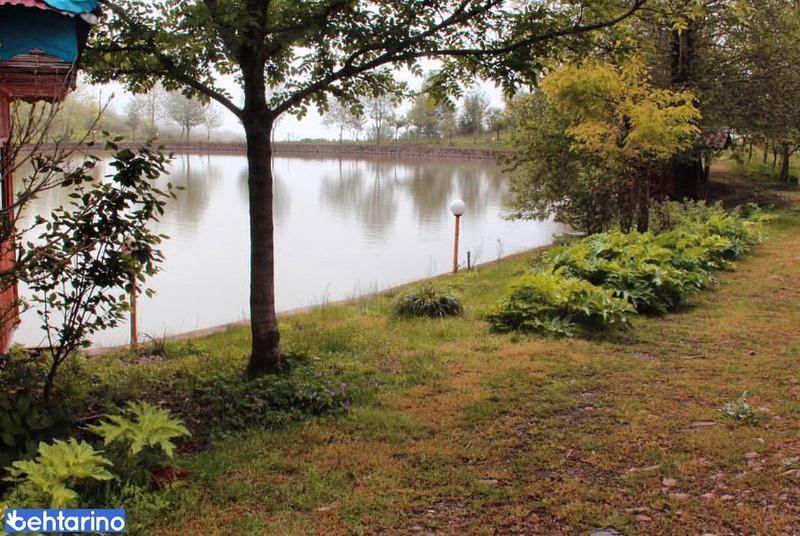 دریاچه قو جواهرده