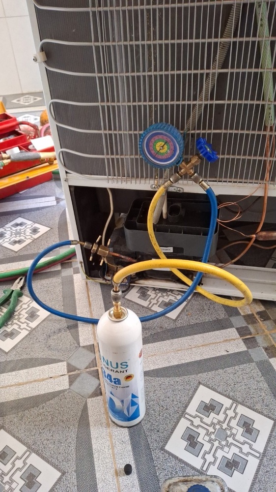 اشکان کوشکی